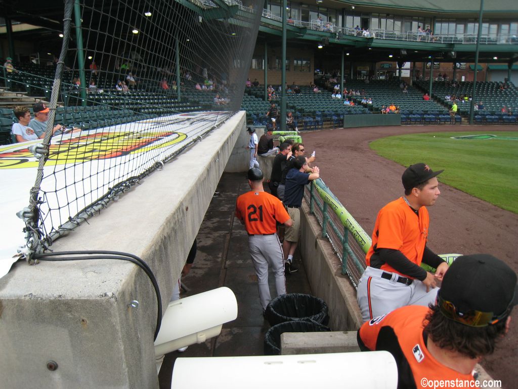 Dig the dugout.